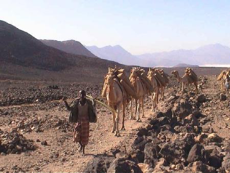 Le d�sert de mon �tre...